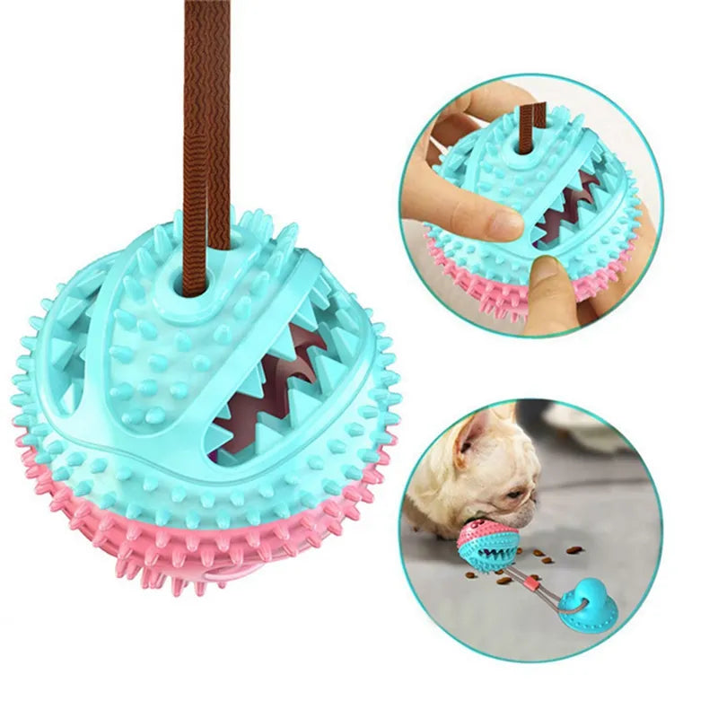 Suction Ball Interactive Dog Toy